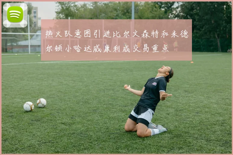 热火队意图引进比尔文森特和米德尔顿小哈达威康利成交易重点